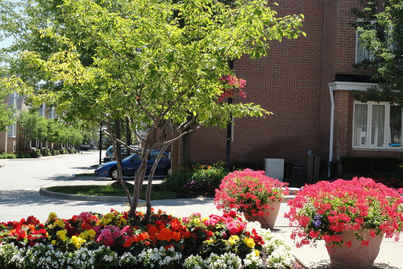 LARGE VARIETY OF FLOWERS